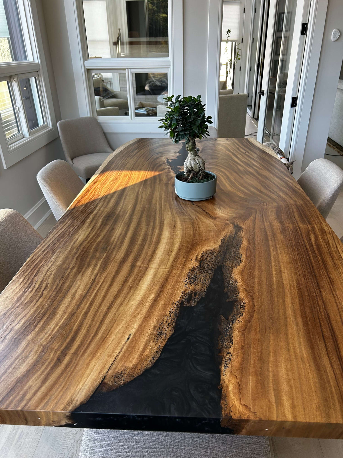 Giant Costa Rican Monkey Pod live edge table in dining room with natural wood grain and central decor.